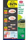 Hofer Prospekt