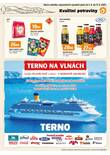 Terno leták