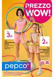 Pepco flyer